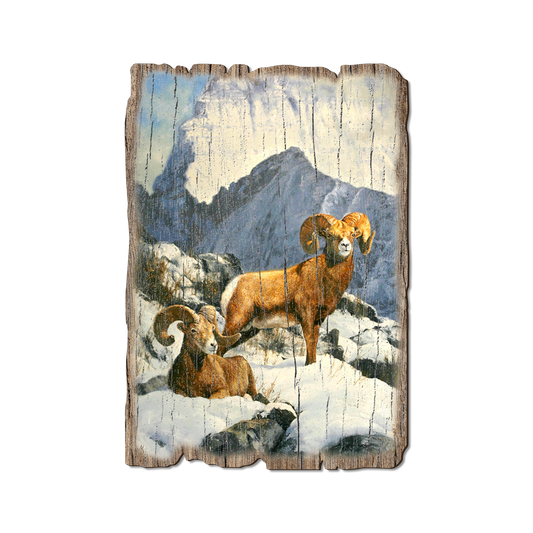 Greeting Card: Weathered Edge - Kelso's Mountain Kings