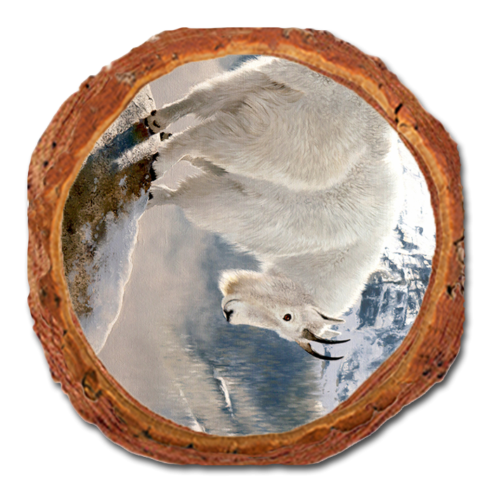 Coaster: Live Edge - Kelso's Mountain Man (Pack of 5)