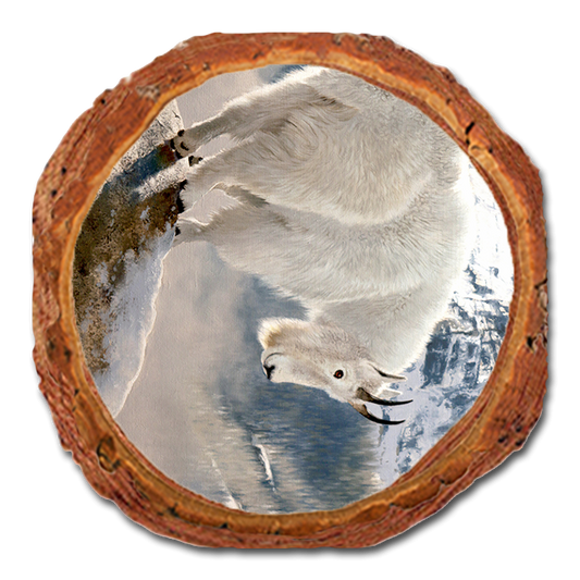 Coaster: Live Edge - Kelso's Mountain Man (Pack of 5)