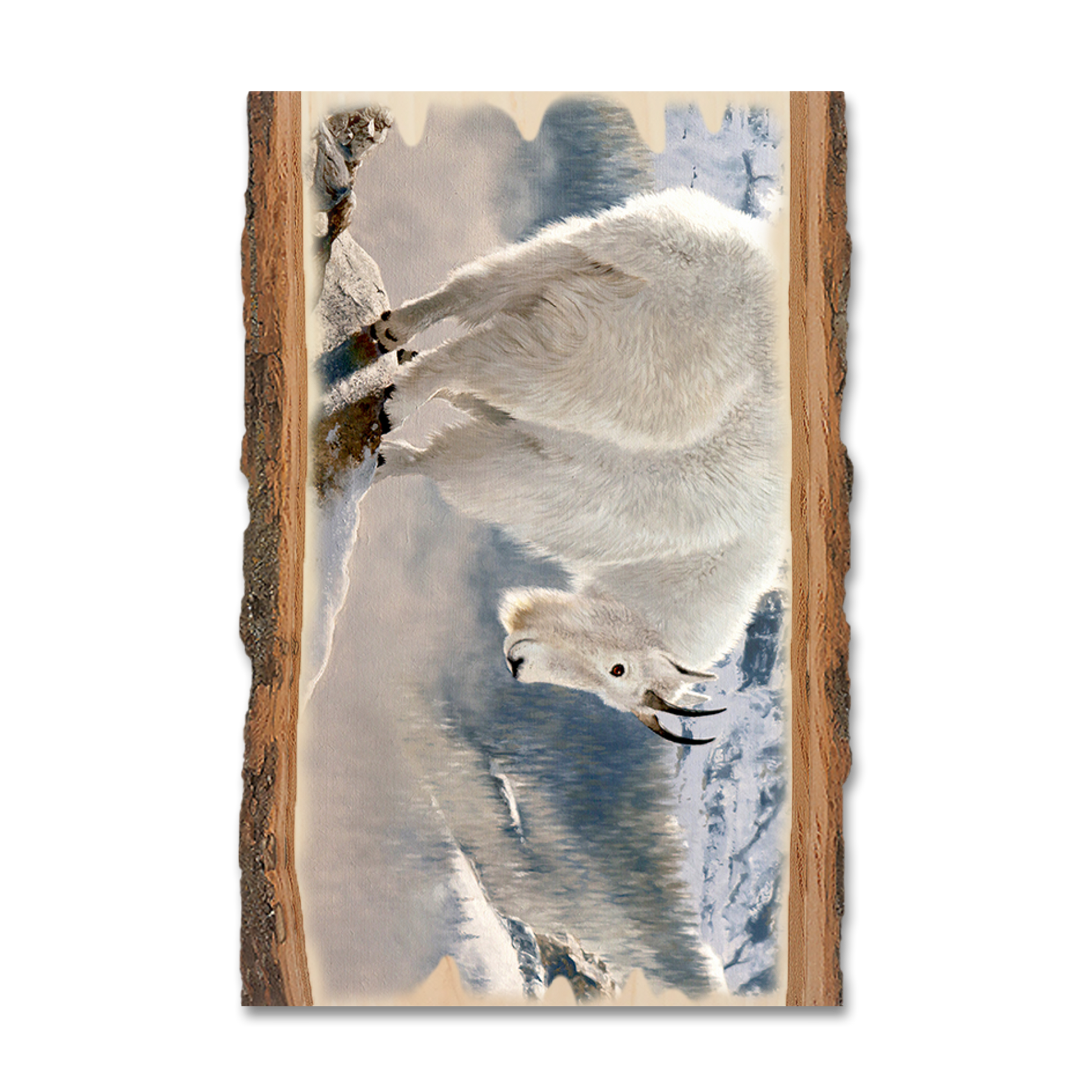 Greeting Card: Live Edge - Kelso's Mountain Man
