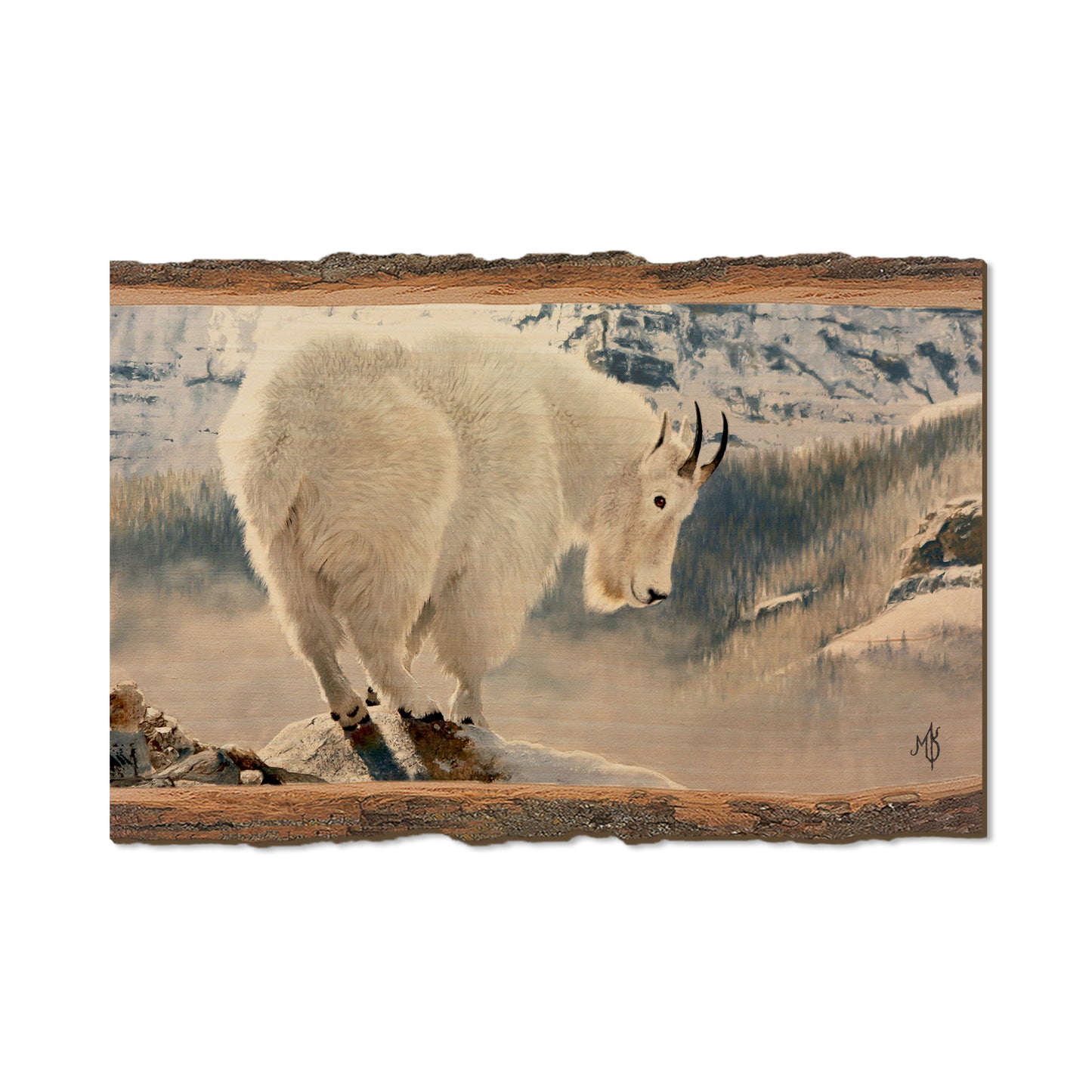 Kelso's Mountain Man - Live Edge Live Edge Postcard (5pk // $2.80ea)