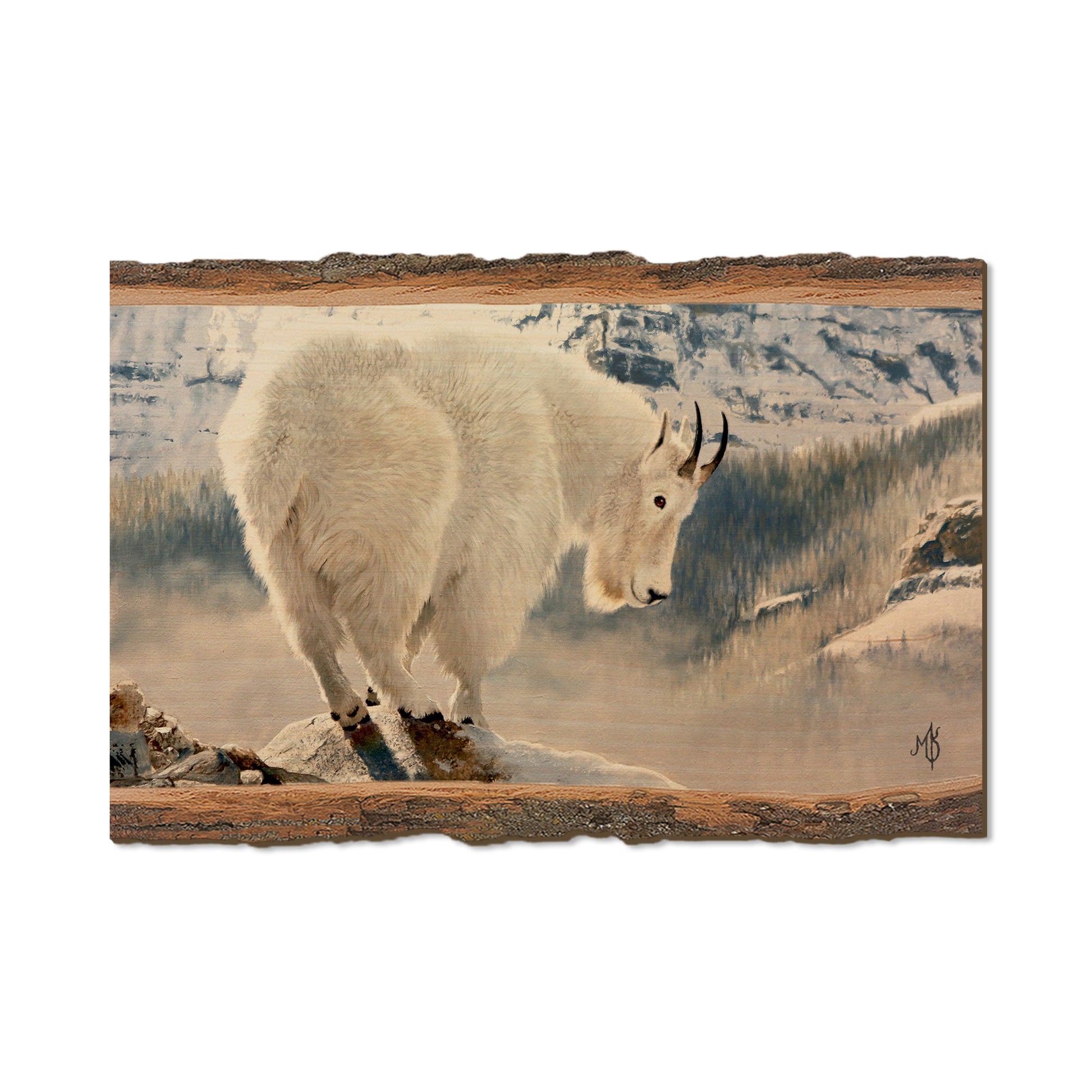 Kelso's Mountain Man - Live Edge Live Edge Postcard (5pk // $2.80ea)