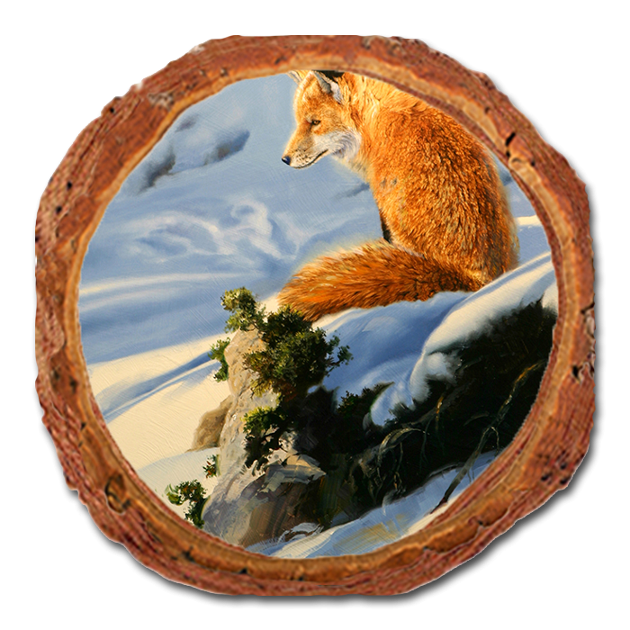 Coaster: Live Edge - Kelso's Moment's Peace (Pack of 5)