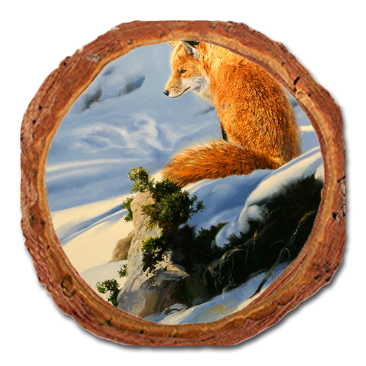 Coaster: Live Edge - Kelso's Moment's Peace (Pack of 5)