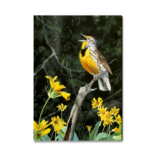 Magnet: Classic Edge - Kelso's Meadow & Wood