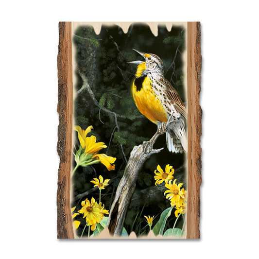 Greeting Card: Live Edge - Kelso's Meadow & Wood