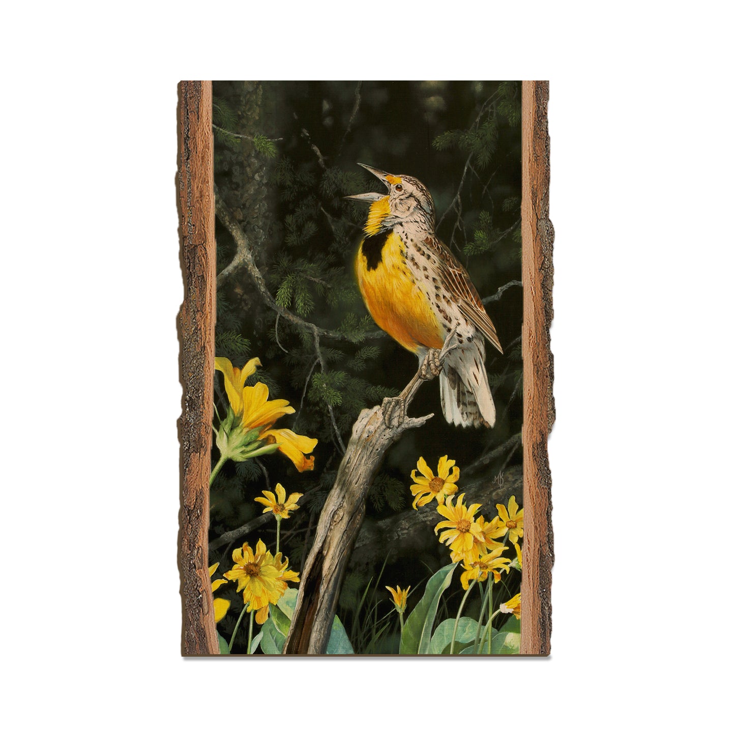 Kelso's Meadow & Wood - Live Edge Live Edge Magnet (5pk // $2.80ea)