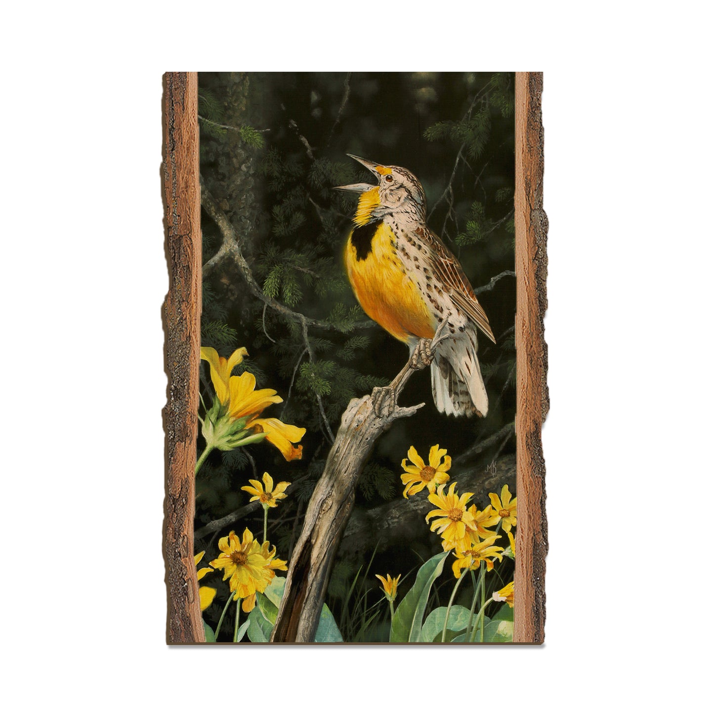 Kelso's Meadow & Wood - Live Edge Live Edge Postcard (5pk // $2.80ea)