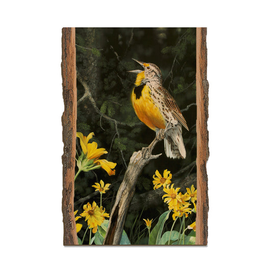 Kelso's Meadow & Wood - Live Edge Live Edge Postcard (5pk // $2.80ea)
