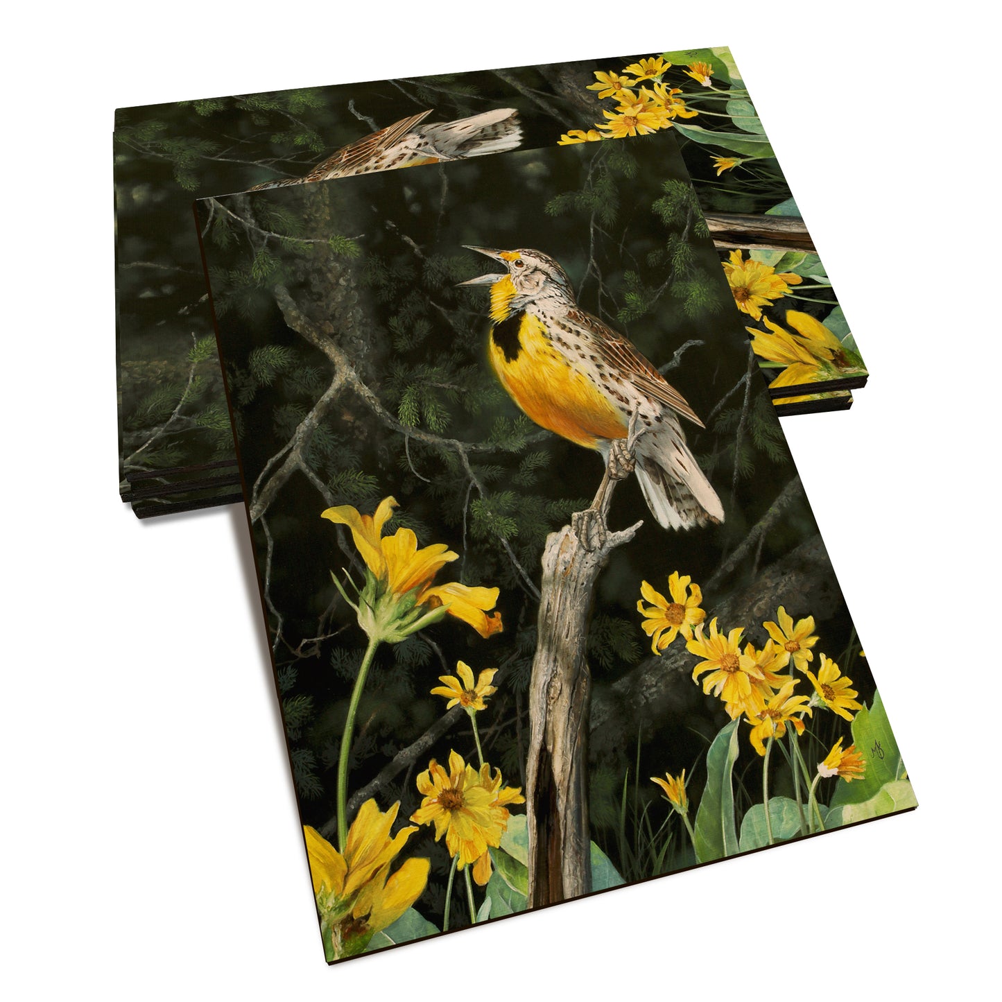 Kelso's Meadow & Wood - Classic Edge Classic Edge Postcard (5pk // $2.80ea)