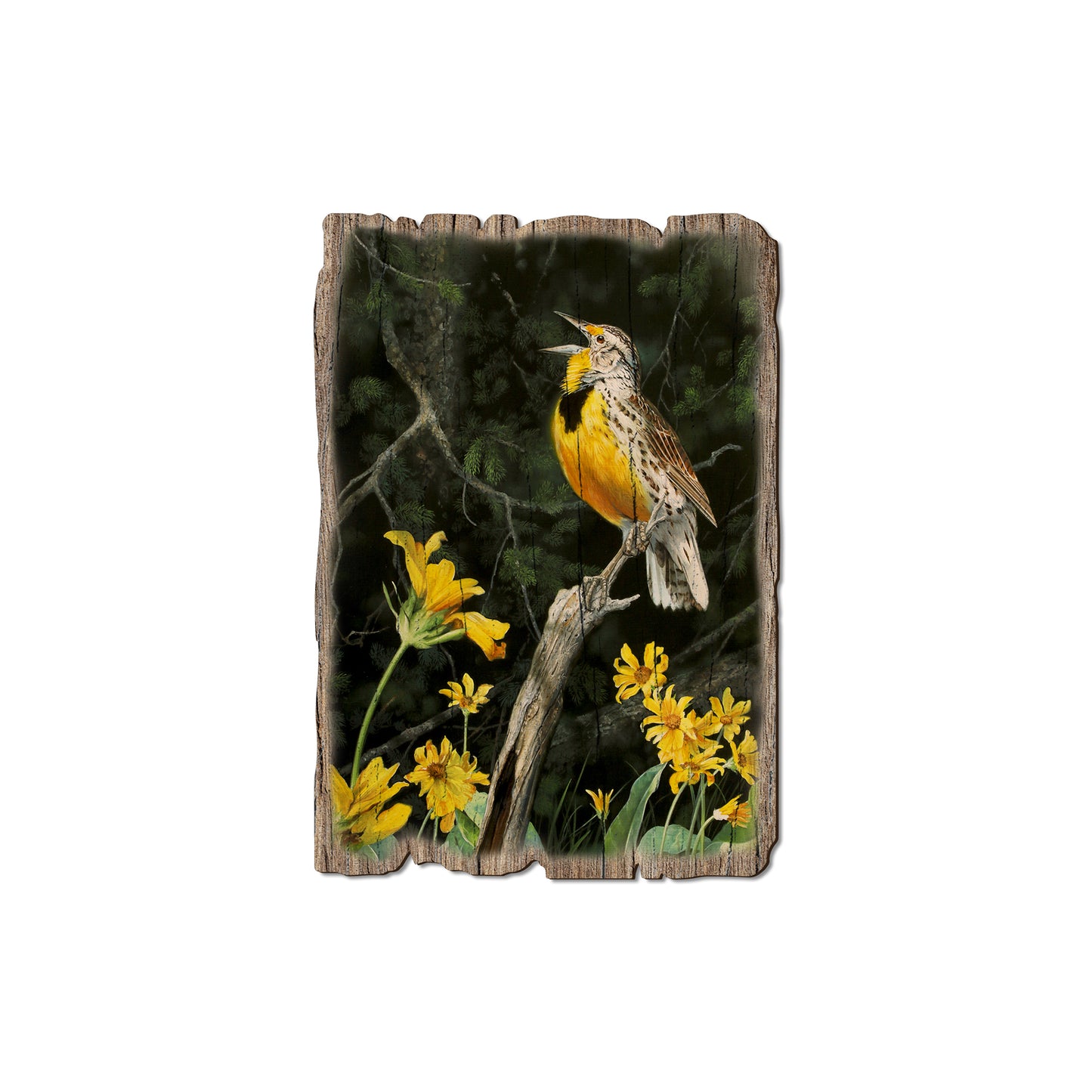Kelso's Meadow And Wood - Rustic Edge Postcards & Magnets Rustic Edge Magnet (5pk // $2.80ea)
