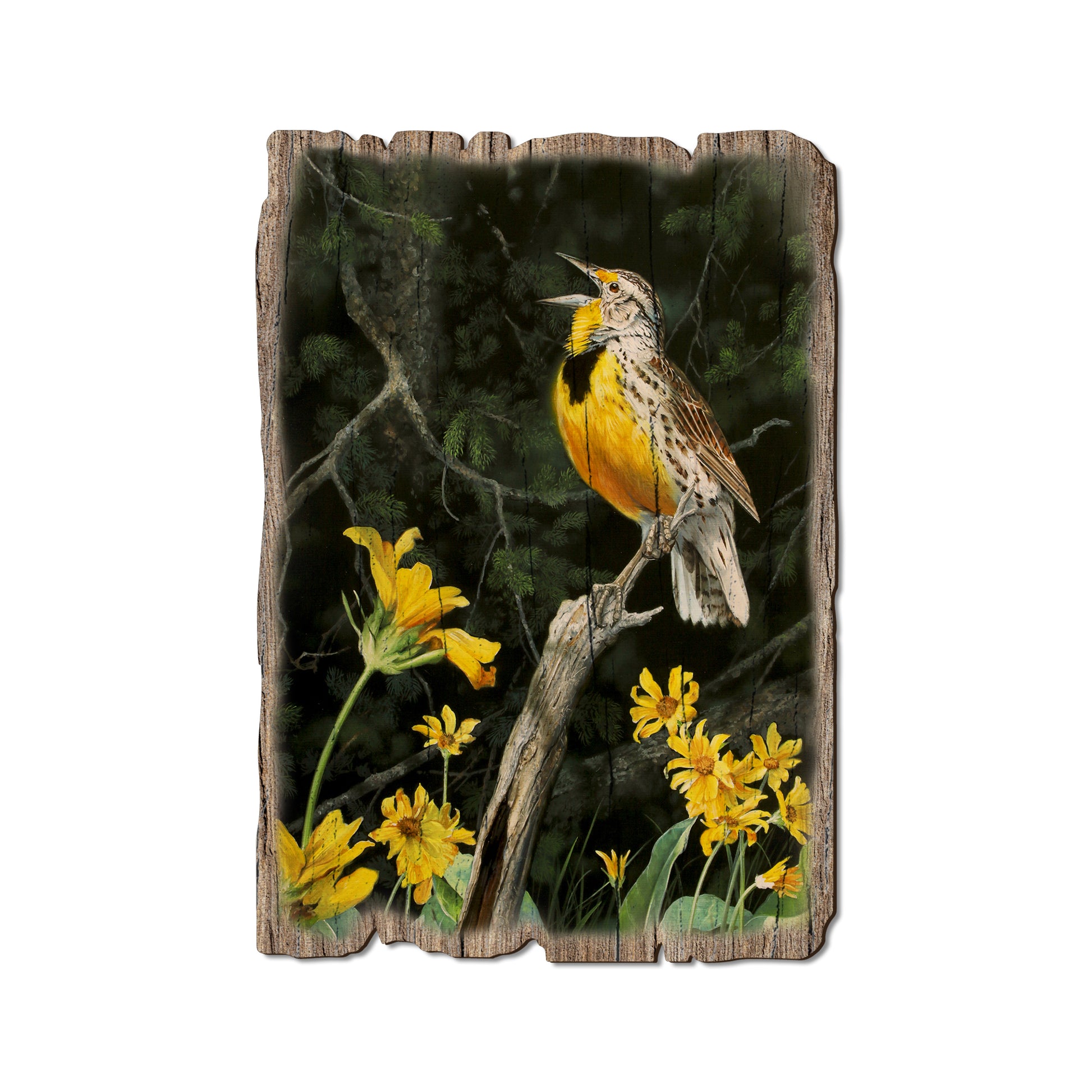 Kelso's Meadow And Wood - Rustic Edge Postcards & Magnets Rustic Edge Postcard (5pk // $2.80ea)