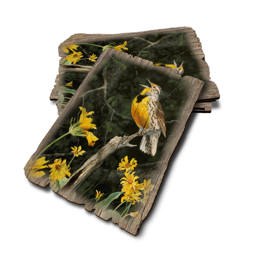 Kelso's Meadow And Wood - Weathered Edge Rustic Edge Postcard (5pk // $2.80ea)