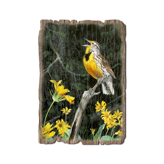 Greeting Card: Weathered Edge - Kelso's Meadow & Wood (Pack of 5)
