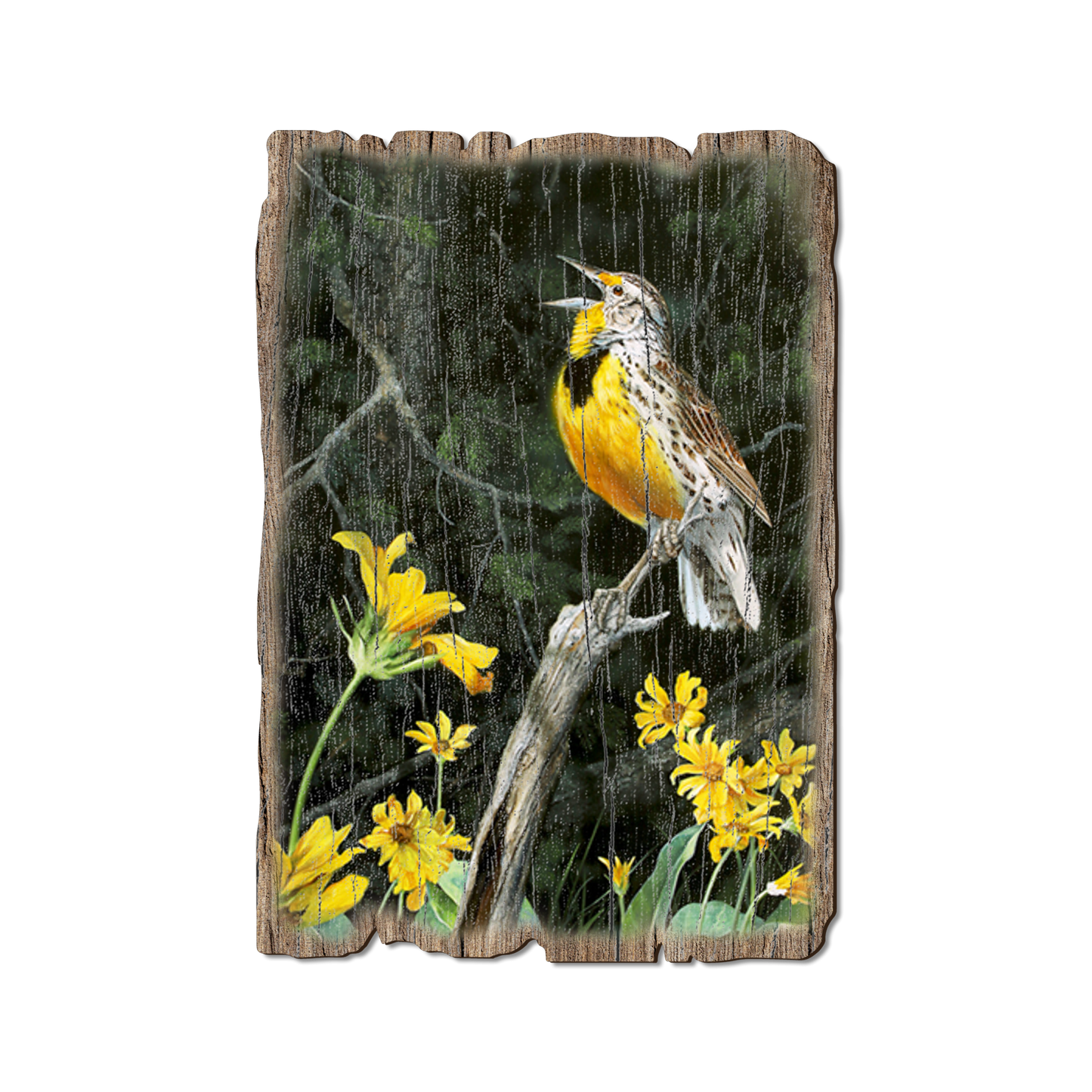 Ornament: Weathered Edge - Kelso's Meadow & Wood (Pack of 5)