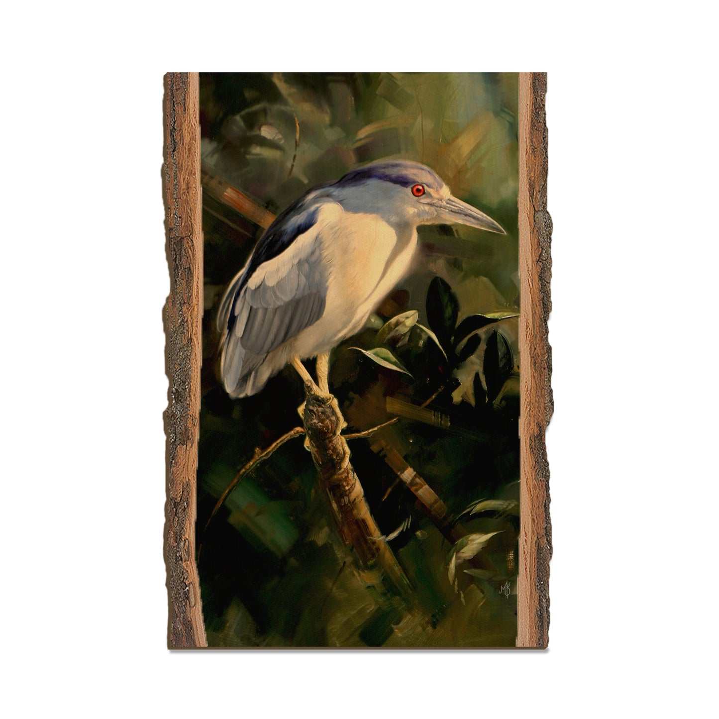Kelso's Night Light - Live Edge Live Edge Postcard (5pk // $2.80ea)