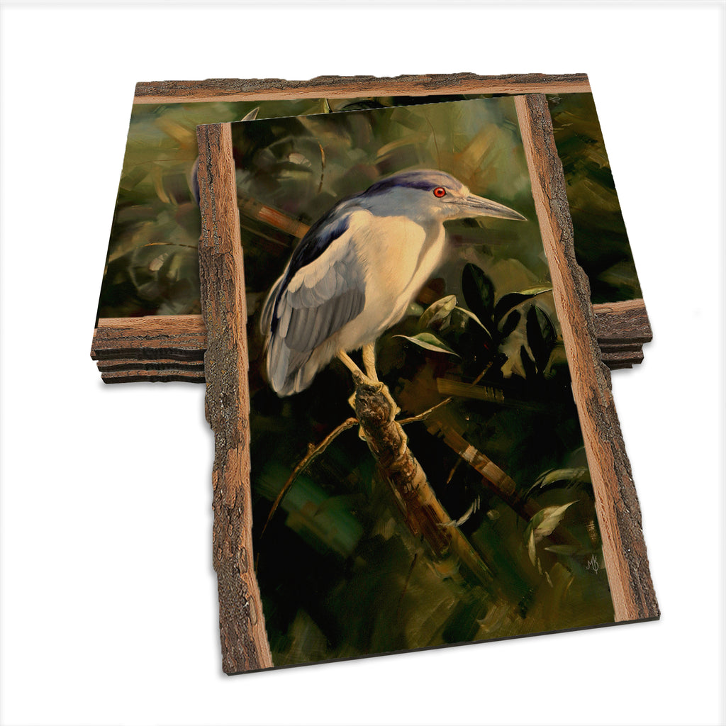 Kelso's Night Light - Live Edge Live Edge Postcard (5pk // $2.80ea)