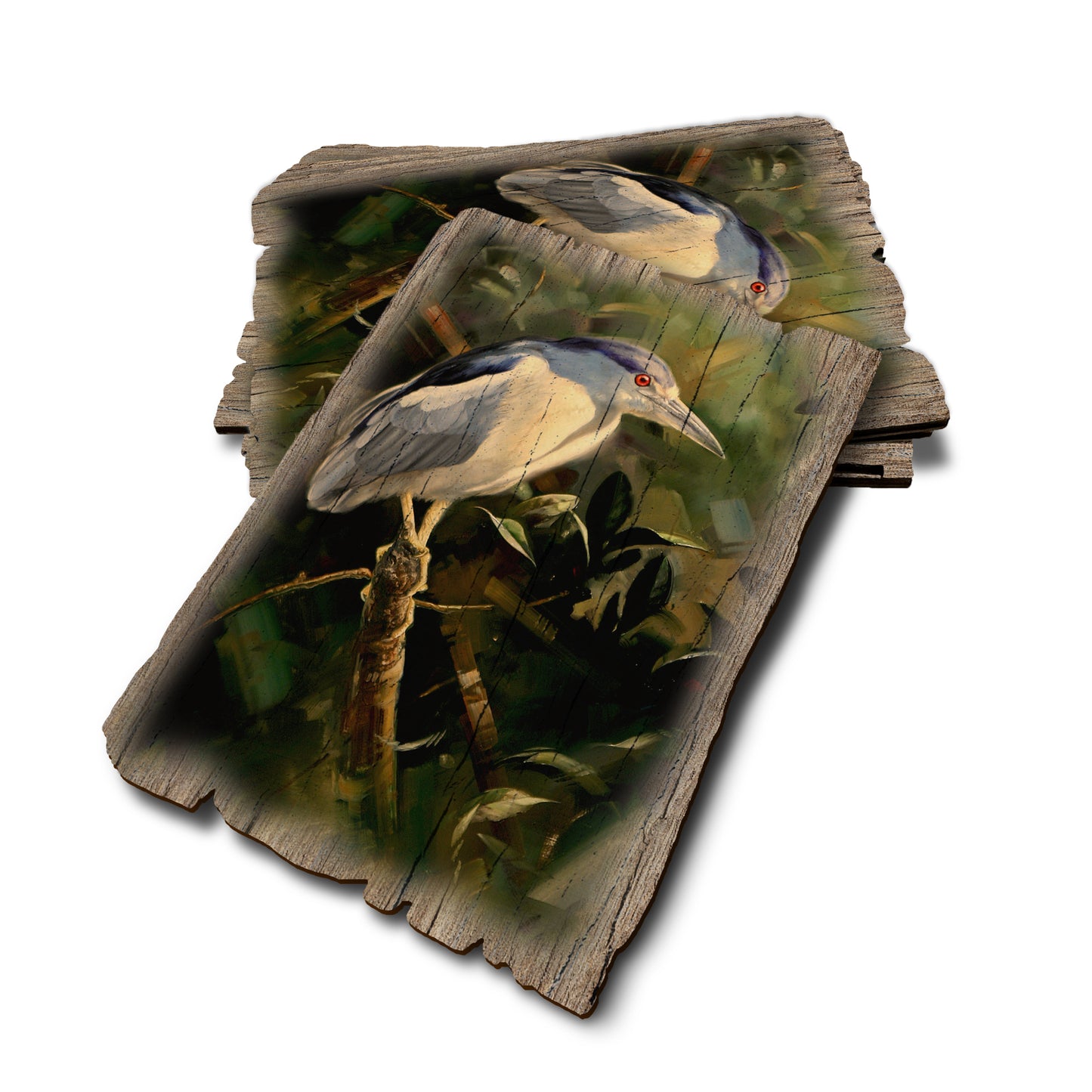 Kelso's Night Light - Weathered Edge Rustic Edge Postcard (5pk // $2.80ea)