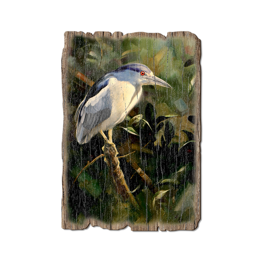 Greeting Card: Weathered Edge - Kelso's Night Light