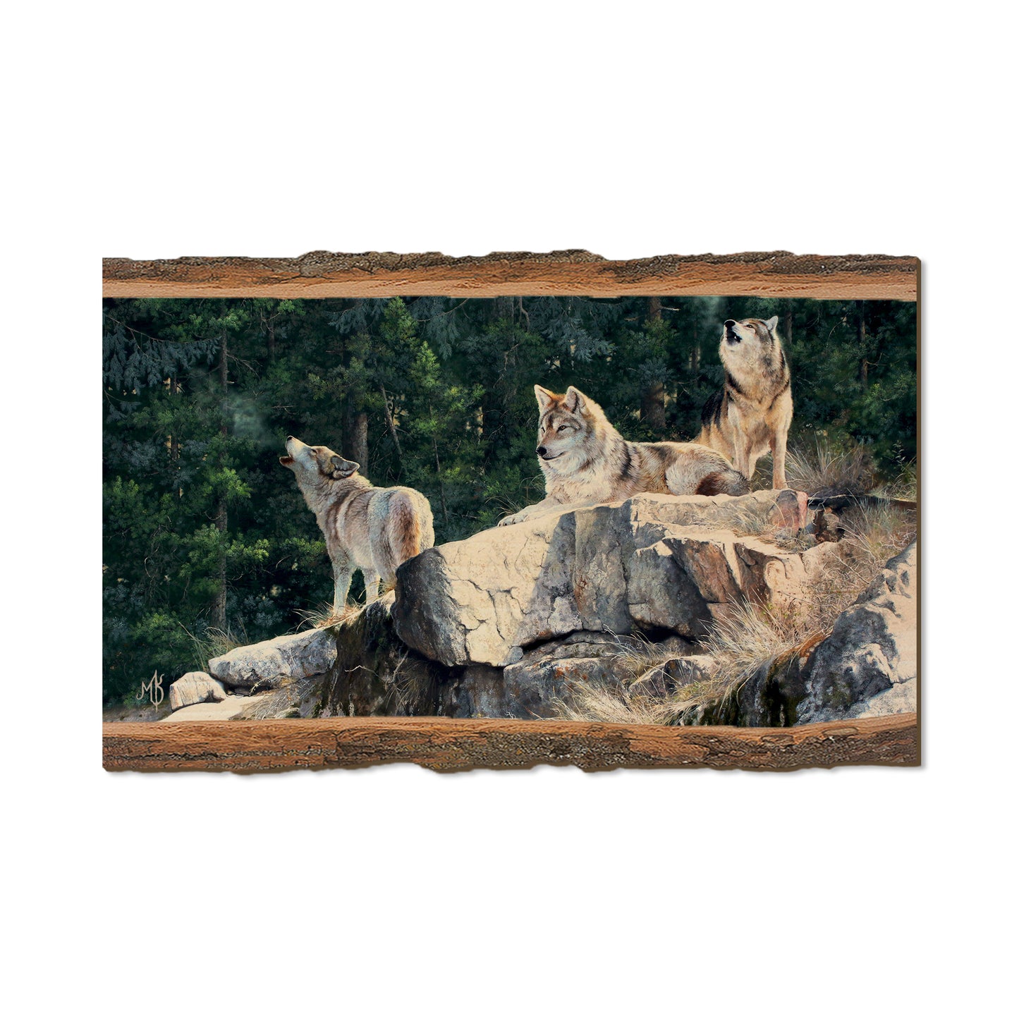 Kelso's Rally on the Ridge - Live Edge Live Edge Magnet (5pk // $2.80ea)