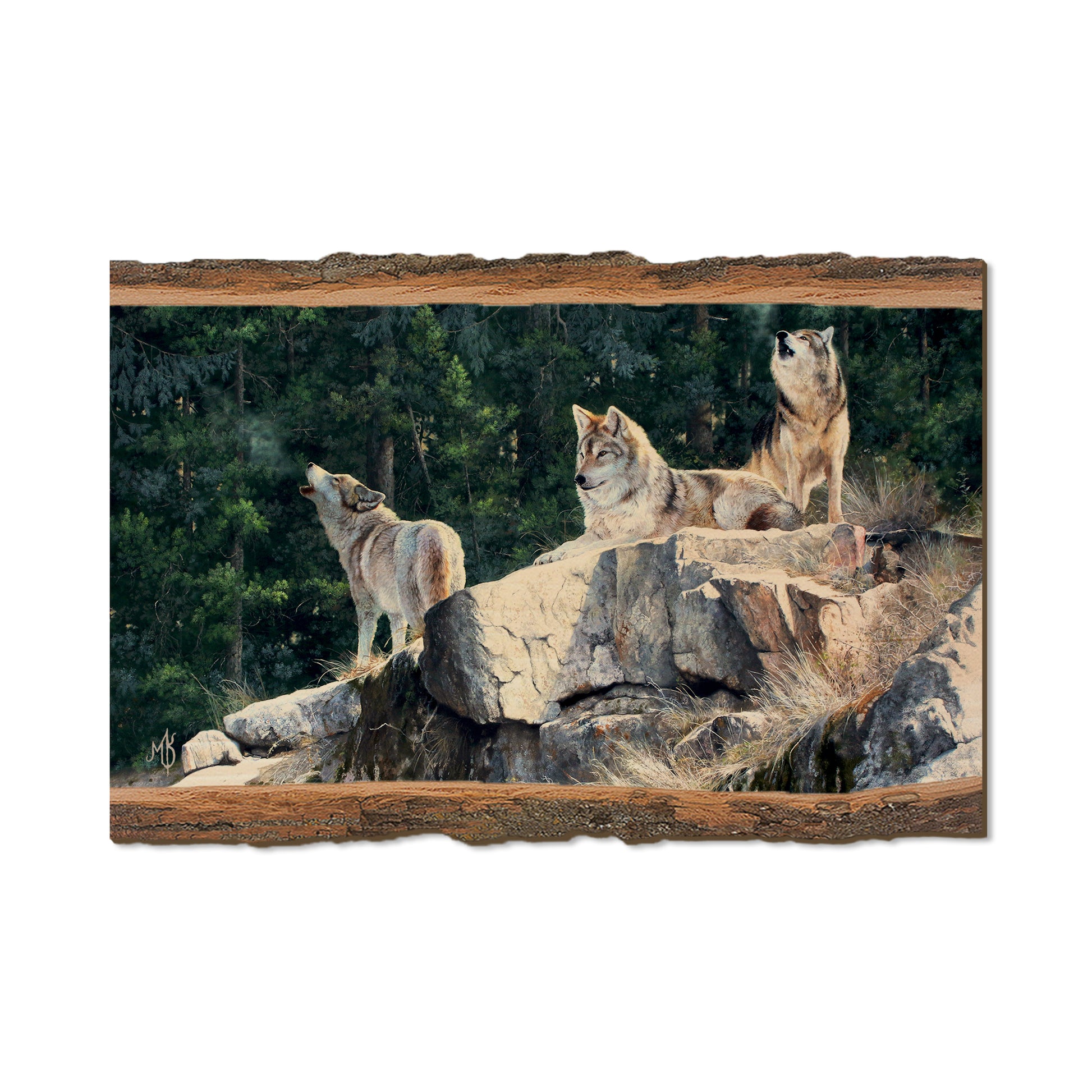 Kelso's Rally on the Ridge - Live Edge Live Edge Postcard (5pk // $2.80ea)