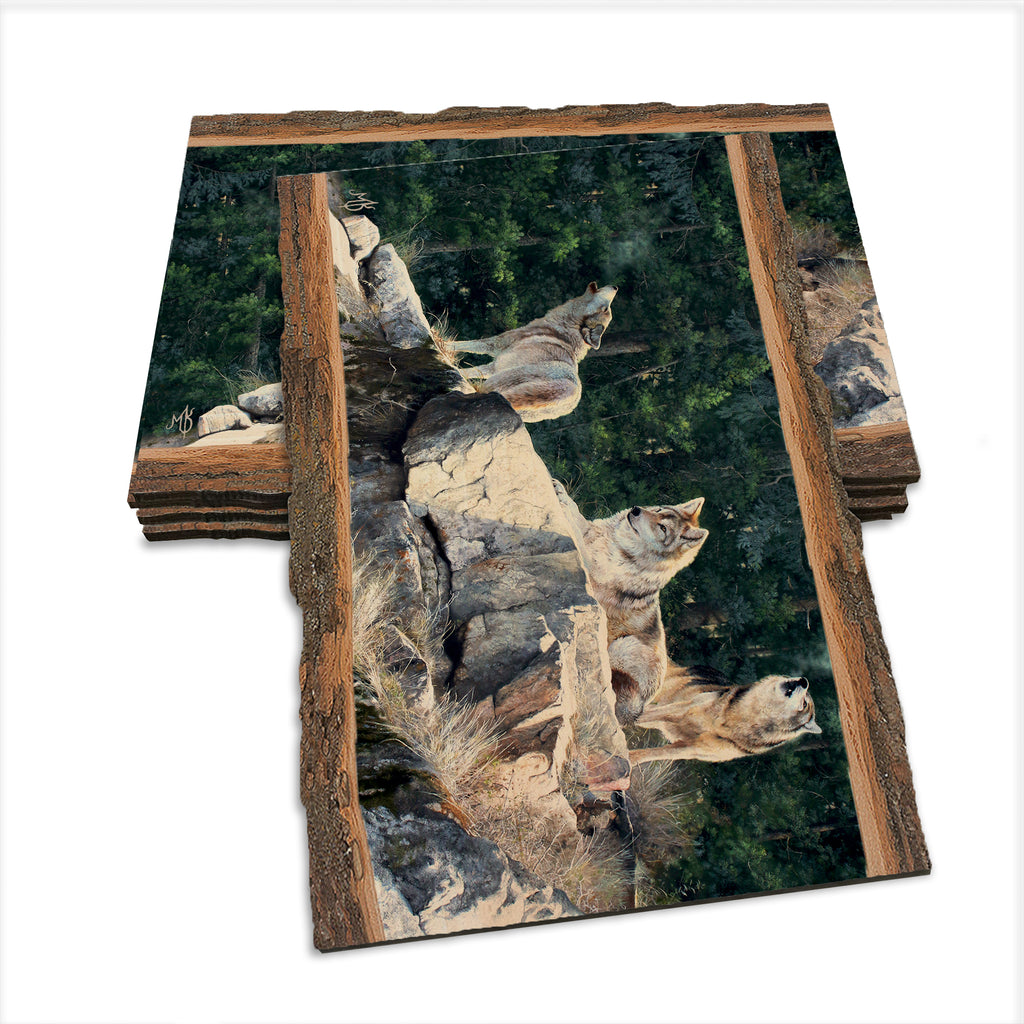 Kelso's Rally on the Ridge - Live Edge Live Edge Postcard (5pk // $2.80ea)