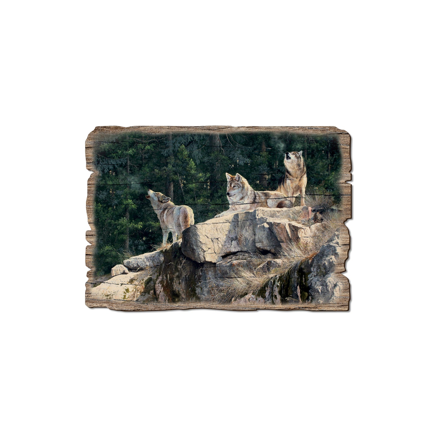 Kelso's Rally On The Ridge - Rustic Edge Postcards & Magnets Rustic Edge Magnet (5pk // $2.80ea)