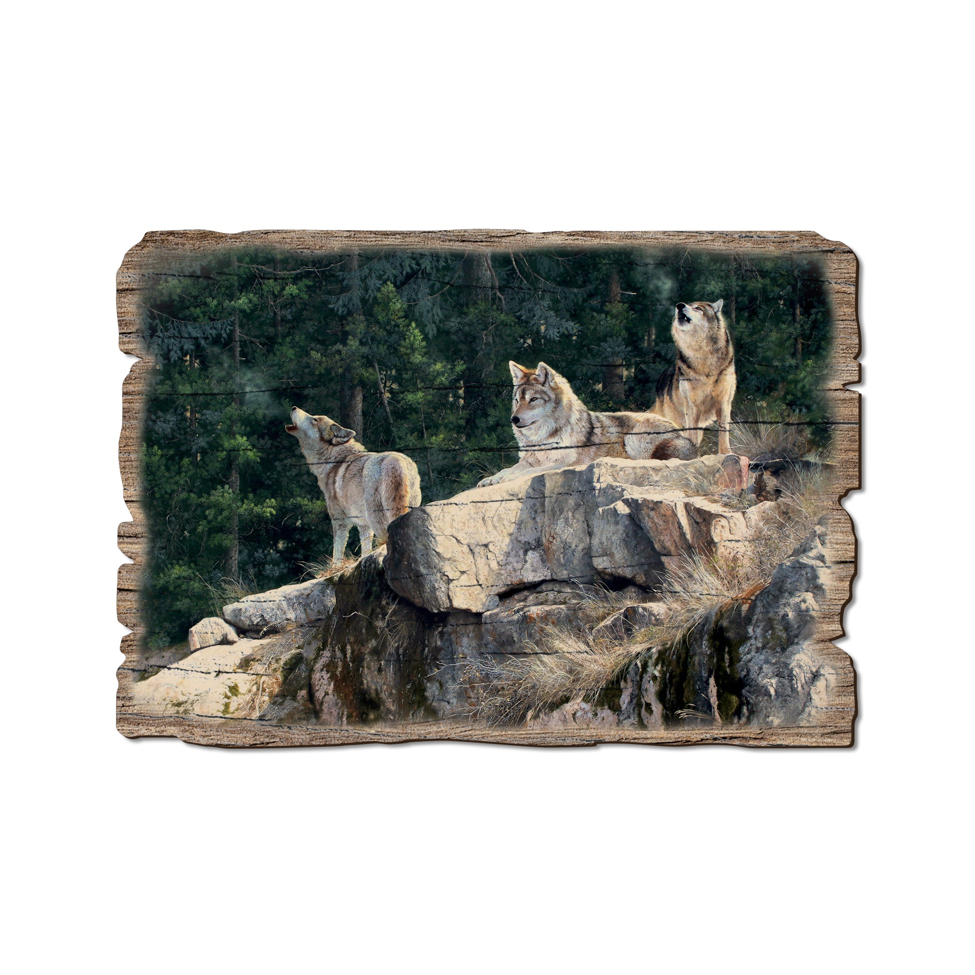 Kelso's Rally On The Ridge - Rustic Edge Postcards & Magnets Rustic Edge Postcard (5pk // $2.80ea)