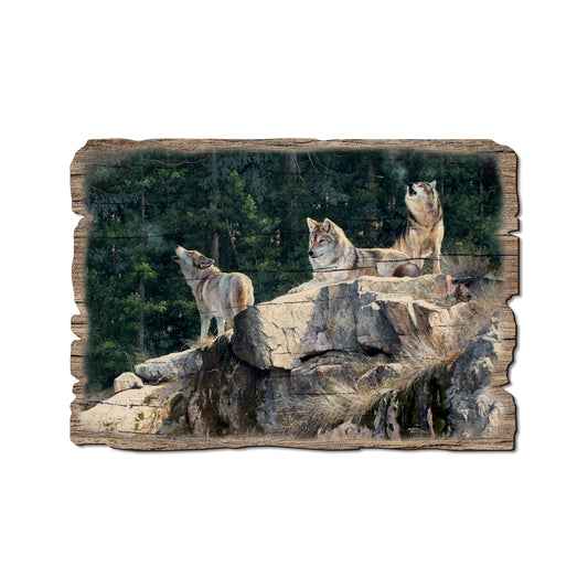 Kelso's Rally On The Ridge - Rustic Edge Postcards & Magnets Rustic Edge Postcard (5pk // $2.80ea)
