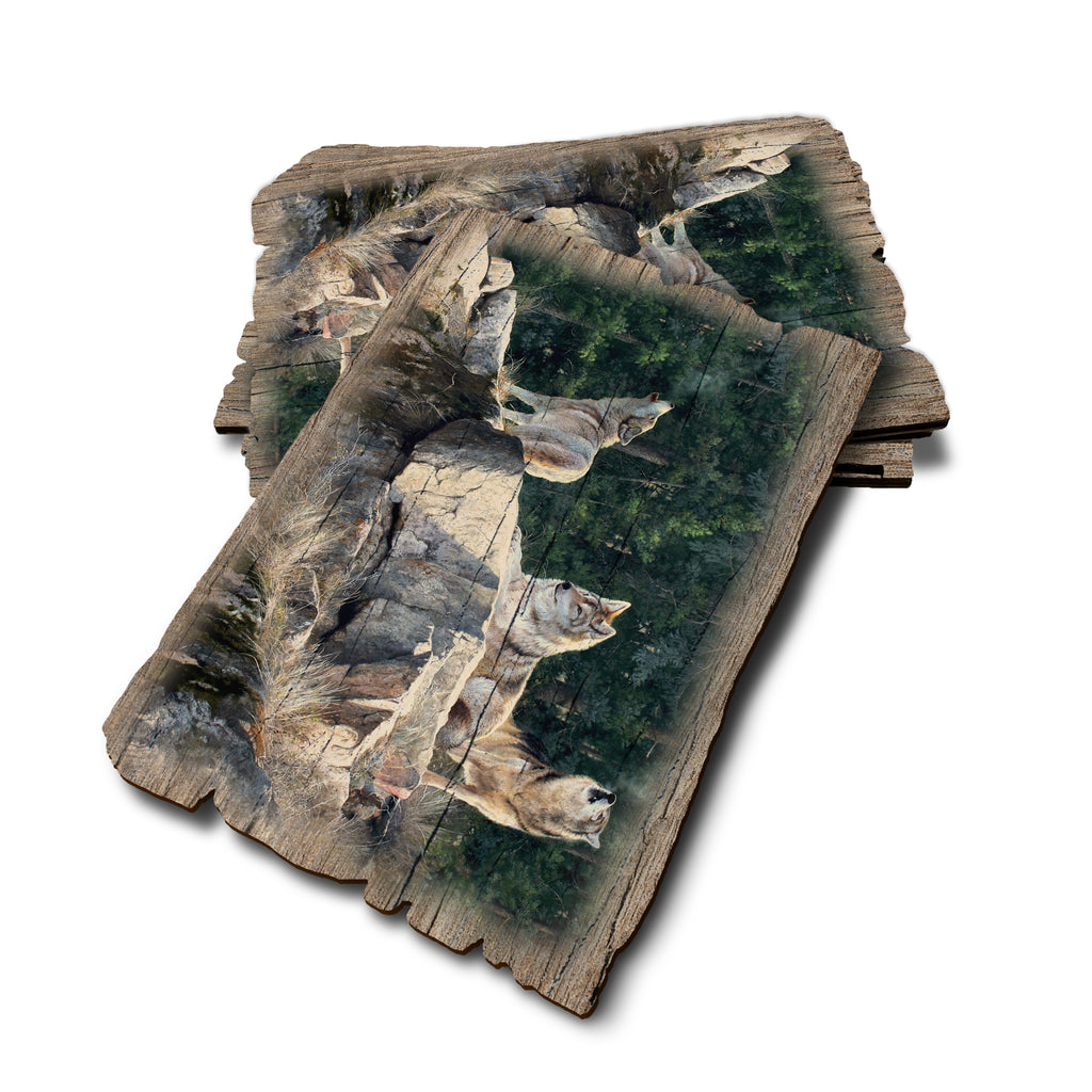 Kelso's Rally On The Ridge - Weathered Edge Rustic Edge Postcard (5pk // $2.80ea)