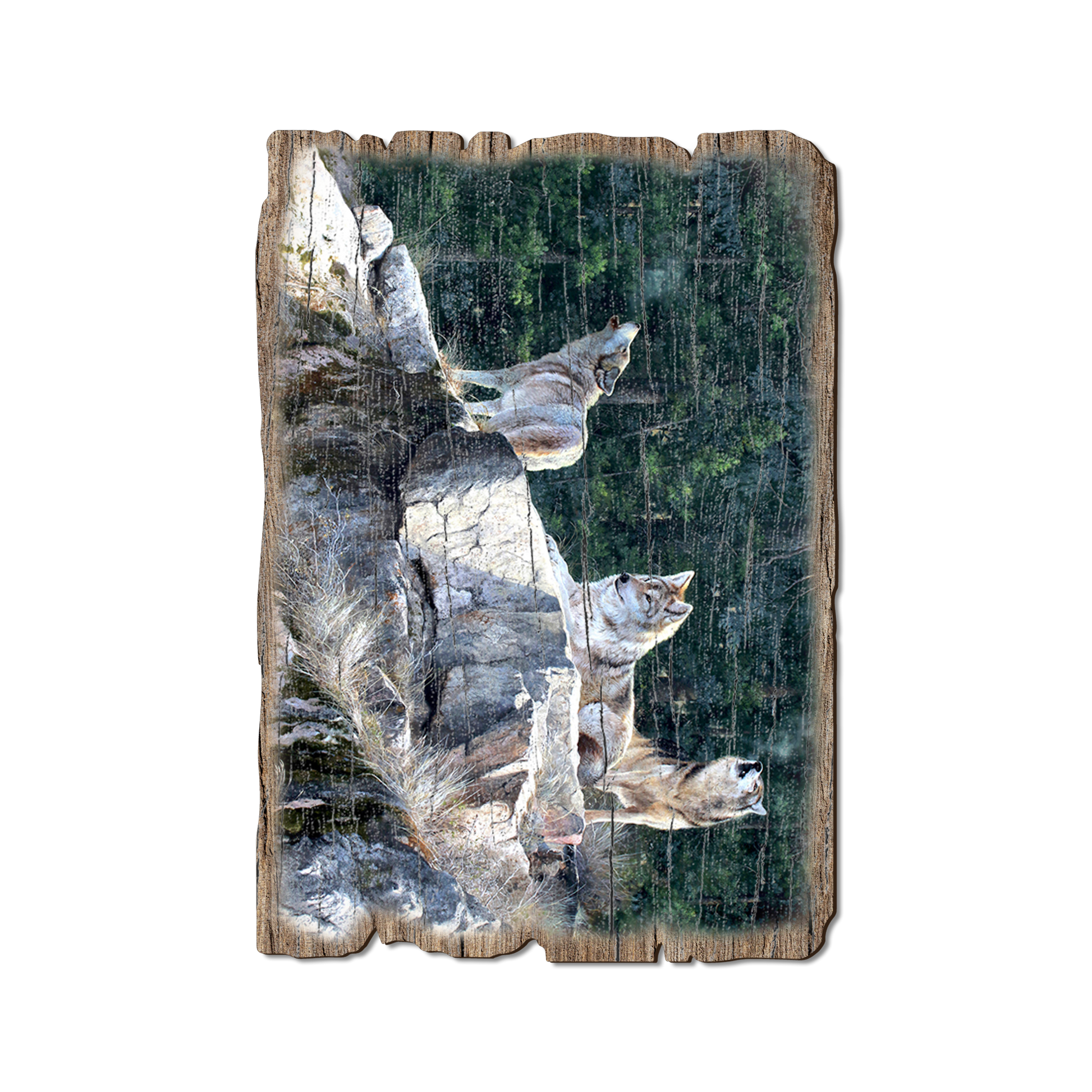 Ornament: Weathered Edge - Kelso's Rally on the Ridge