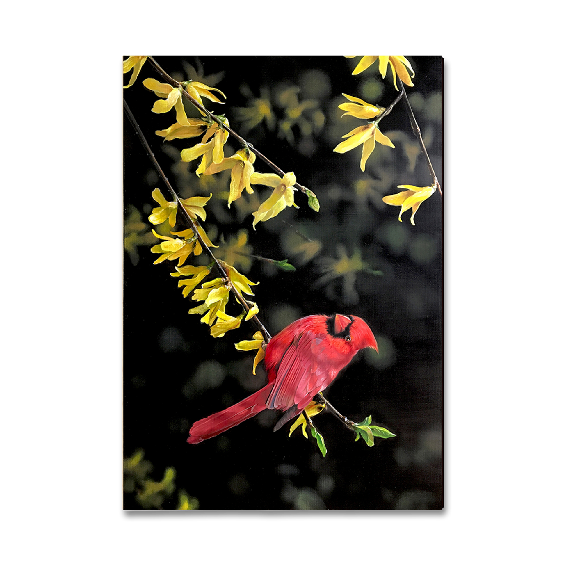 Postcard: Classic Edge - Kelso's Spring Fire