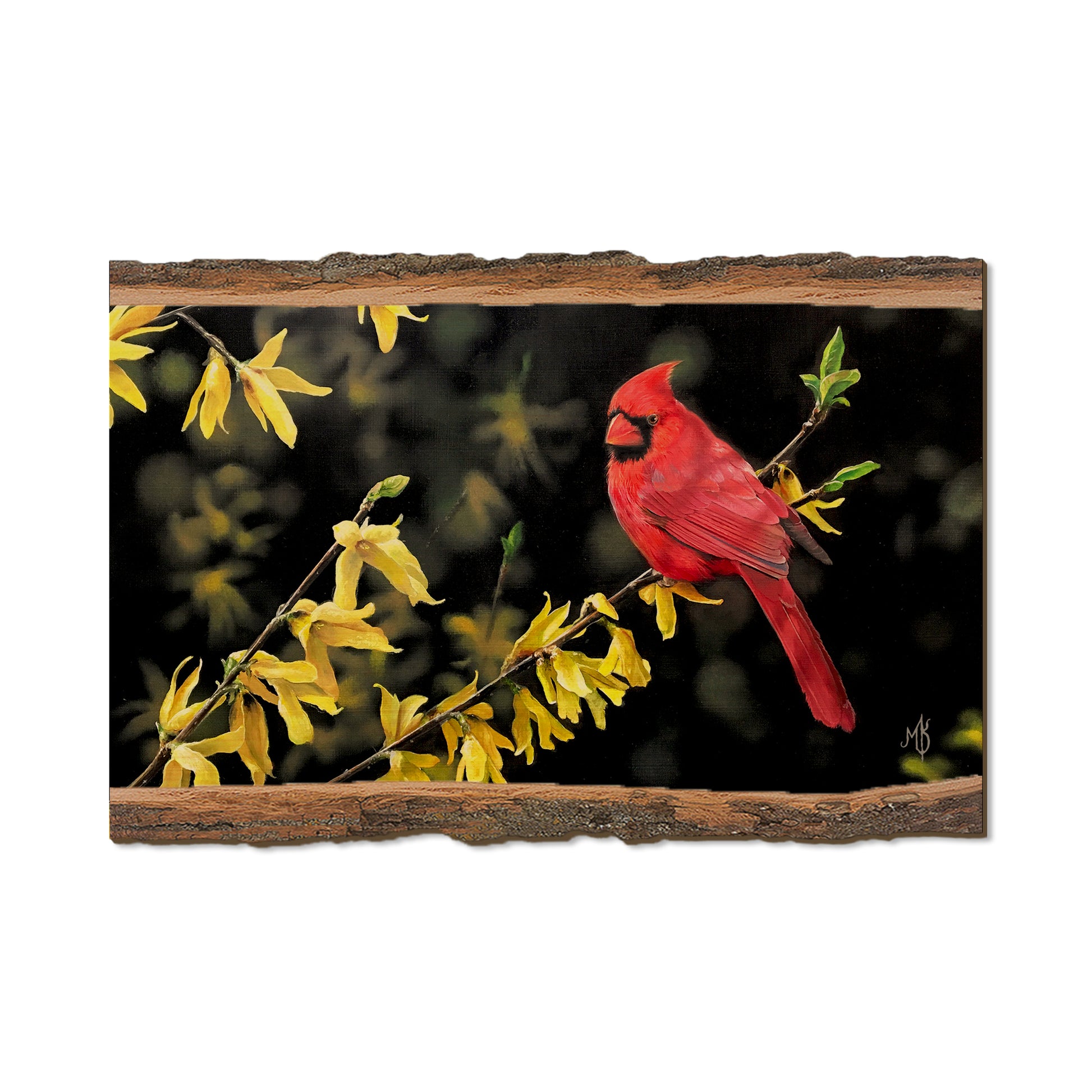 Kelso's Spring Fire - Live Edge Live Edge Postcard (5pk // $2.80ea)