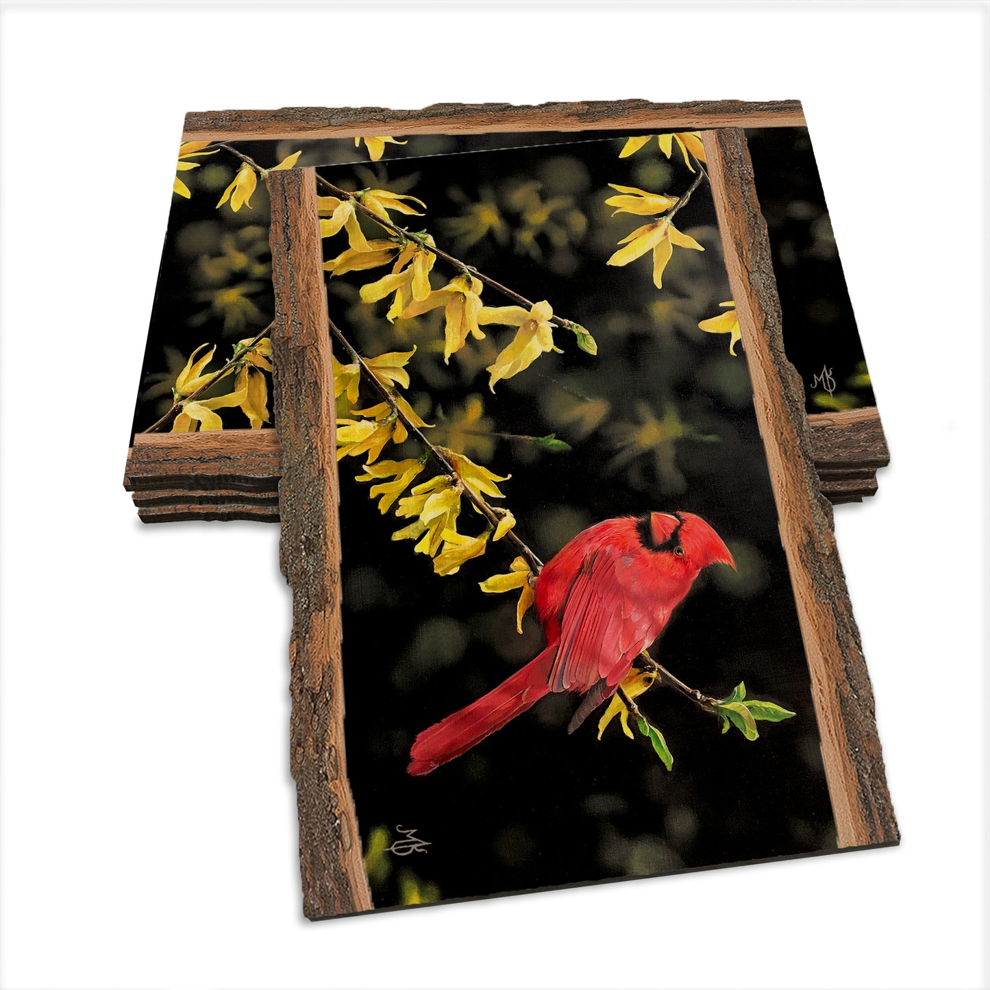 Kelso's Spring Fire - Live Edge Live Edge Postcard (5pk // $2.80ea)