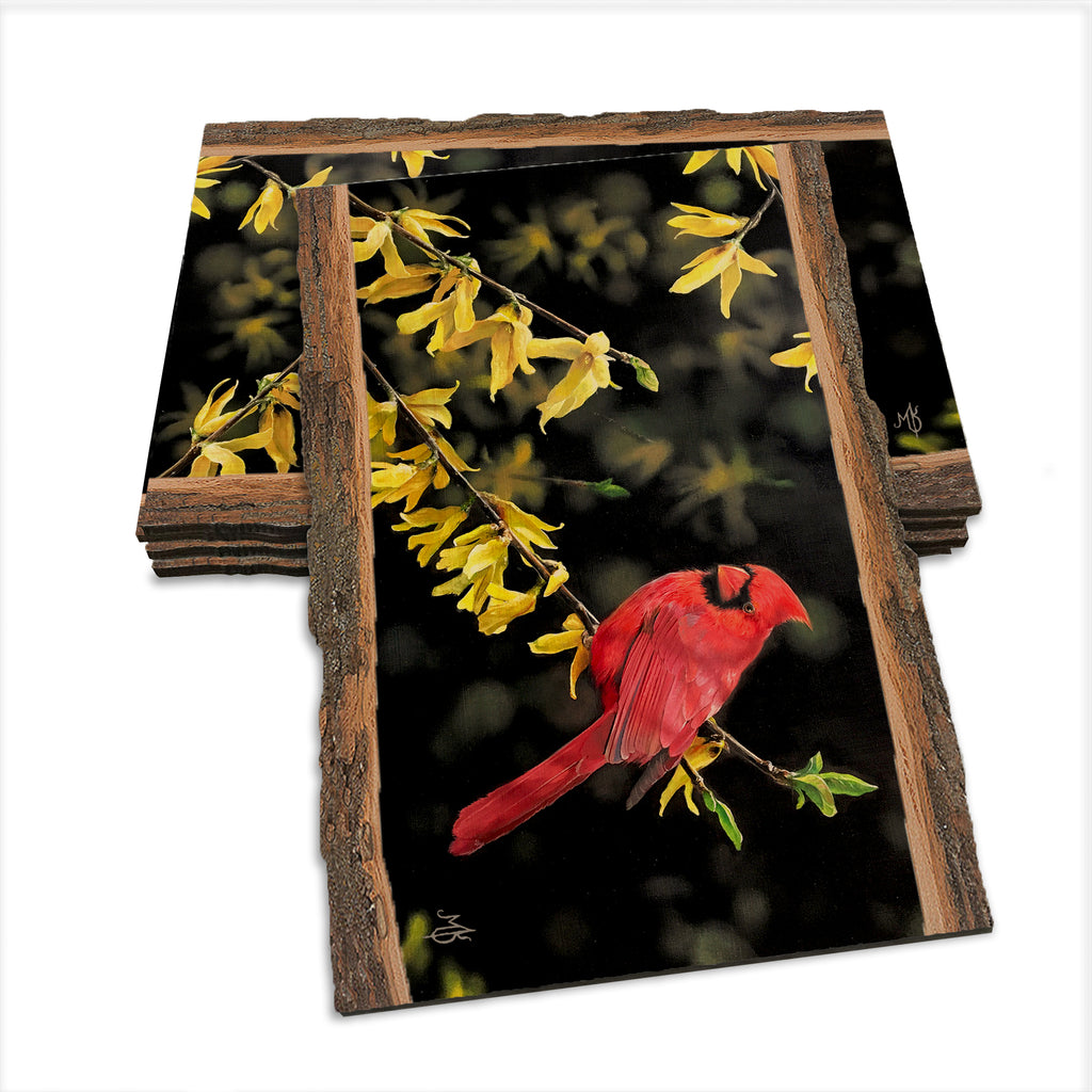 Kelso's Spring Fire - Live Edge Live Edge Postcard (5pk // $2.80ea)