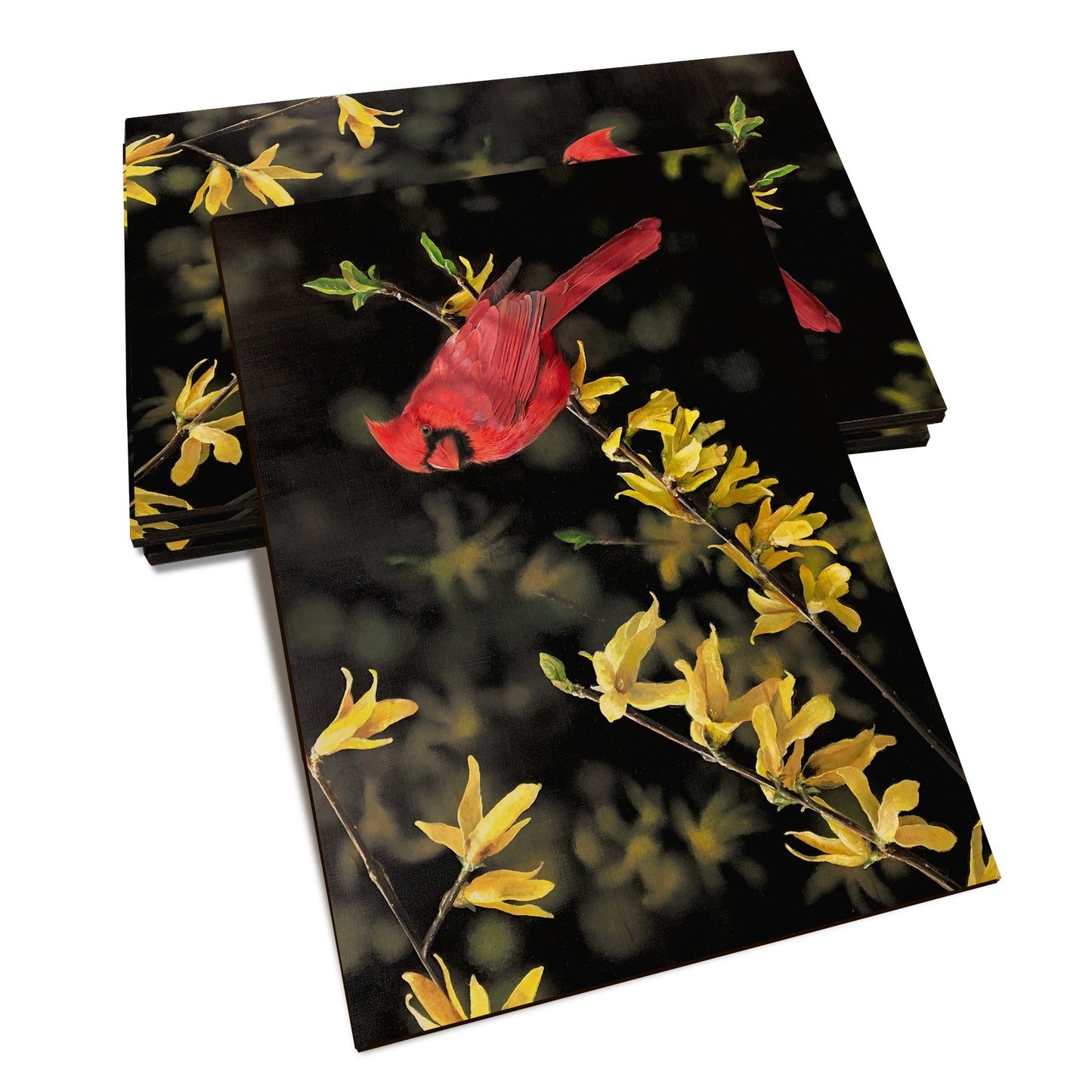 Kelso's Spring Fire - Classic Edge Classic Edge Postcard (5pk // $2.80ea)