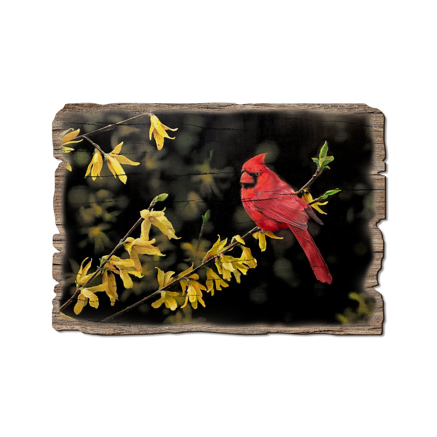 Kelso's Spring Fire - Rustic Edge Postcards & Magnets Rustic Edge Postcard (5pk // $2.80ea)