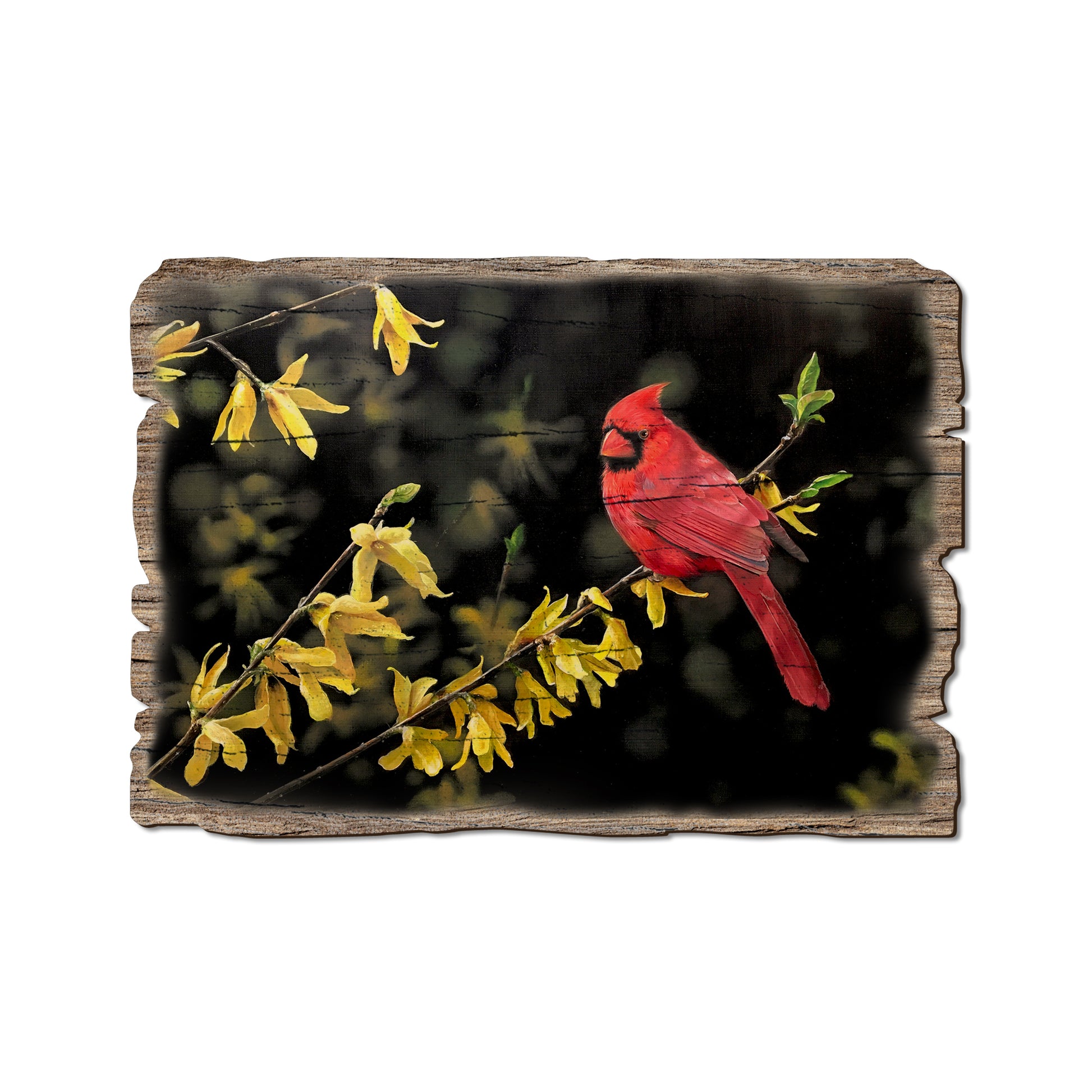 Kelso's Spring Fire - Rustic Edge Postcards & Magnets Rustic Edge Postcard (5pk // $2.80ea)