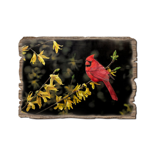 Kelso's Spring Fire - Rustic Edge Postcards & Magnets Rustic Edge Postcard (5pk // $2.80ea)