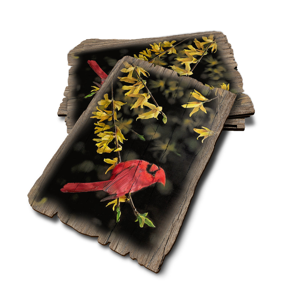 Kelso's Spring Fire - Weathered Edge Rustic Edge Postcard (5pk // $2.80ea)