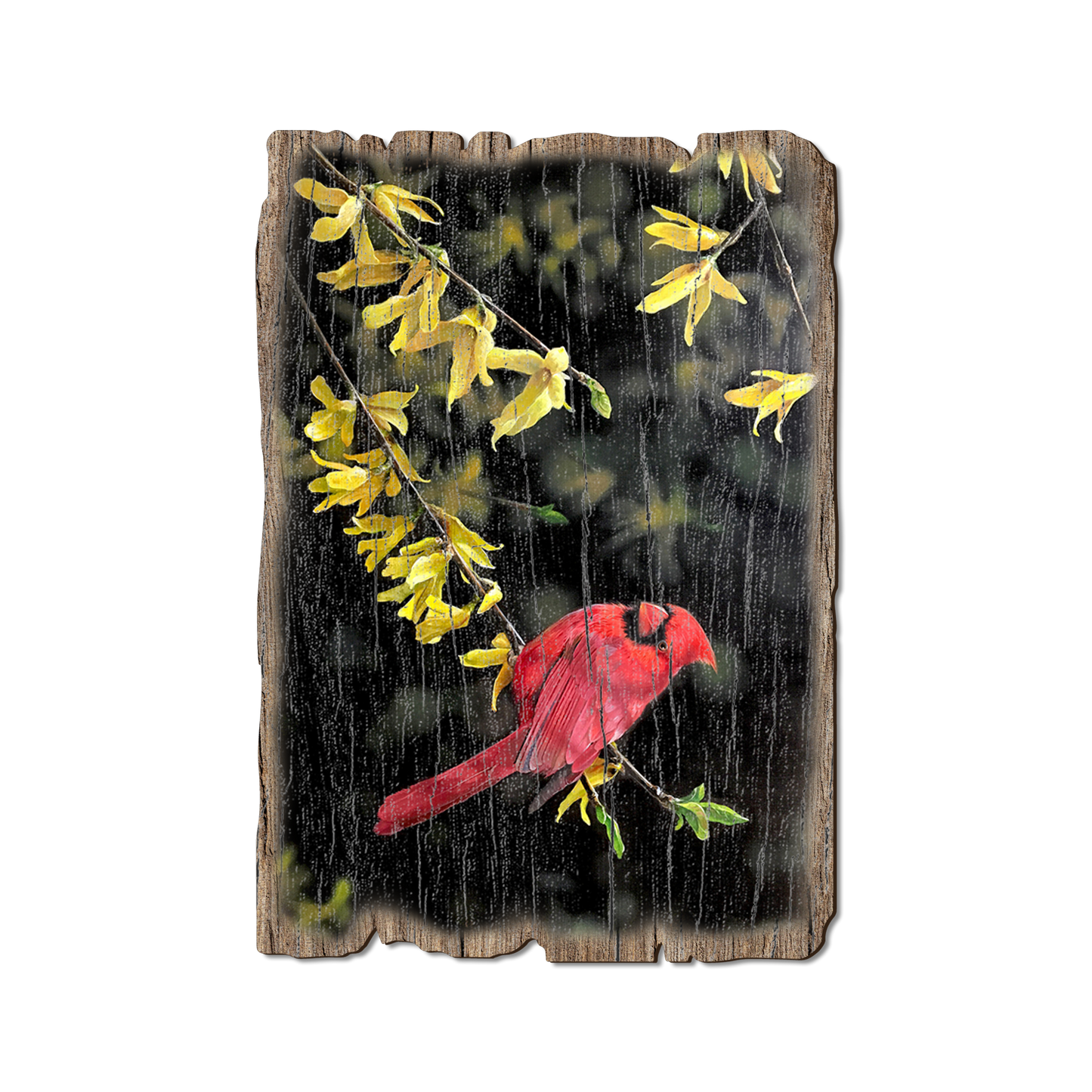 Postcard: Weathered Edge - Kelso's Spring Fire