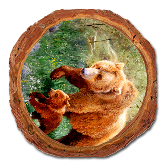 Coaster: Live Edge - Kelso's The Adventurer