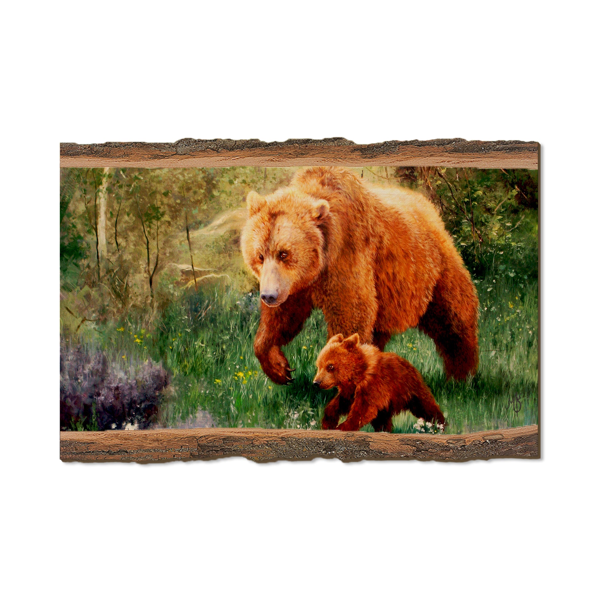 Kelso's The Adventurer - Live Edge Live Edge Postcard (5pk // $2.80ea)