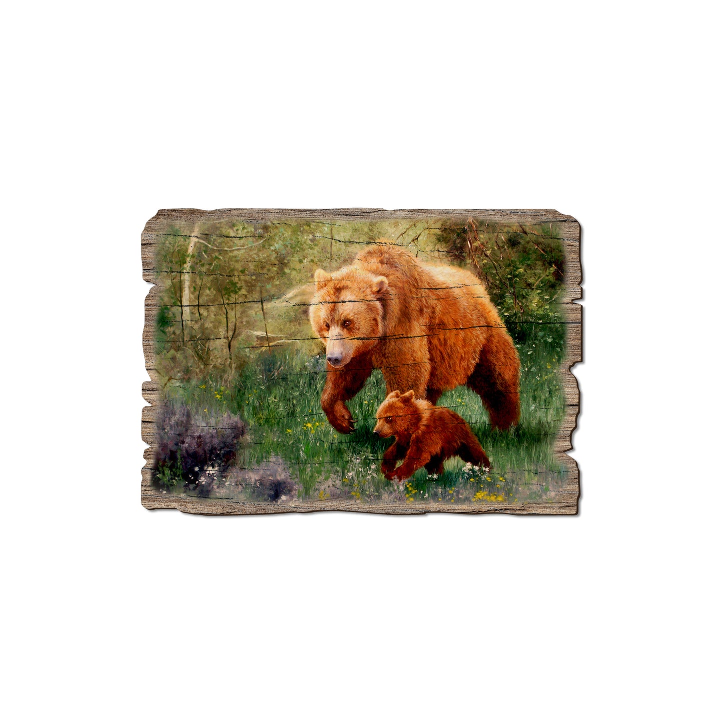 Kelso's The Adventurer - Rustic Edge Postcards & Magnets Rustic Edge Magnet (5pk // $2.80ea)