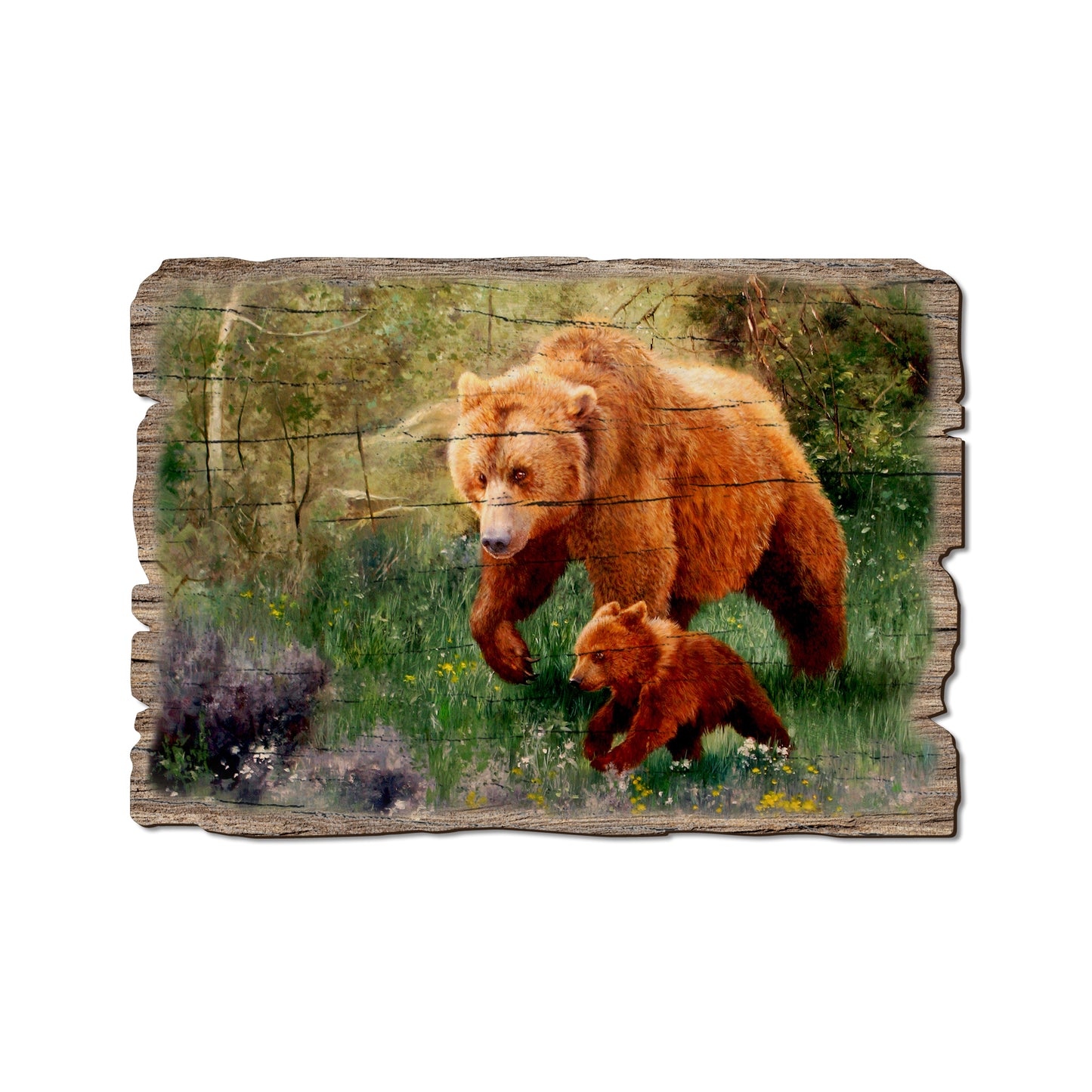 Kelso's The Adventurer - Rustic Edge Postcards & Magnets Rustic Edge Postcard (5pk // $2.80ea)