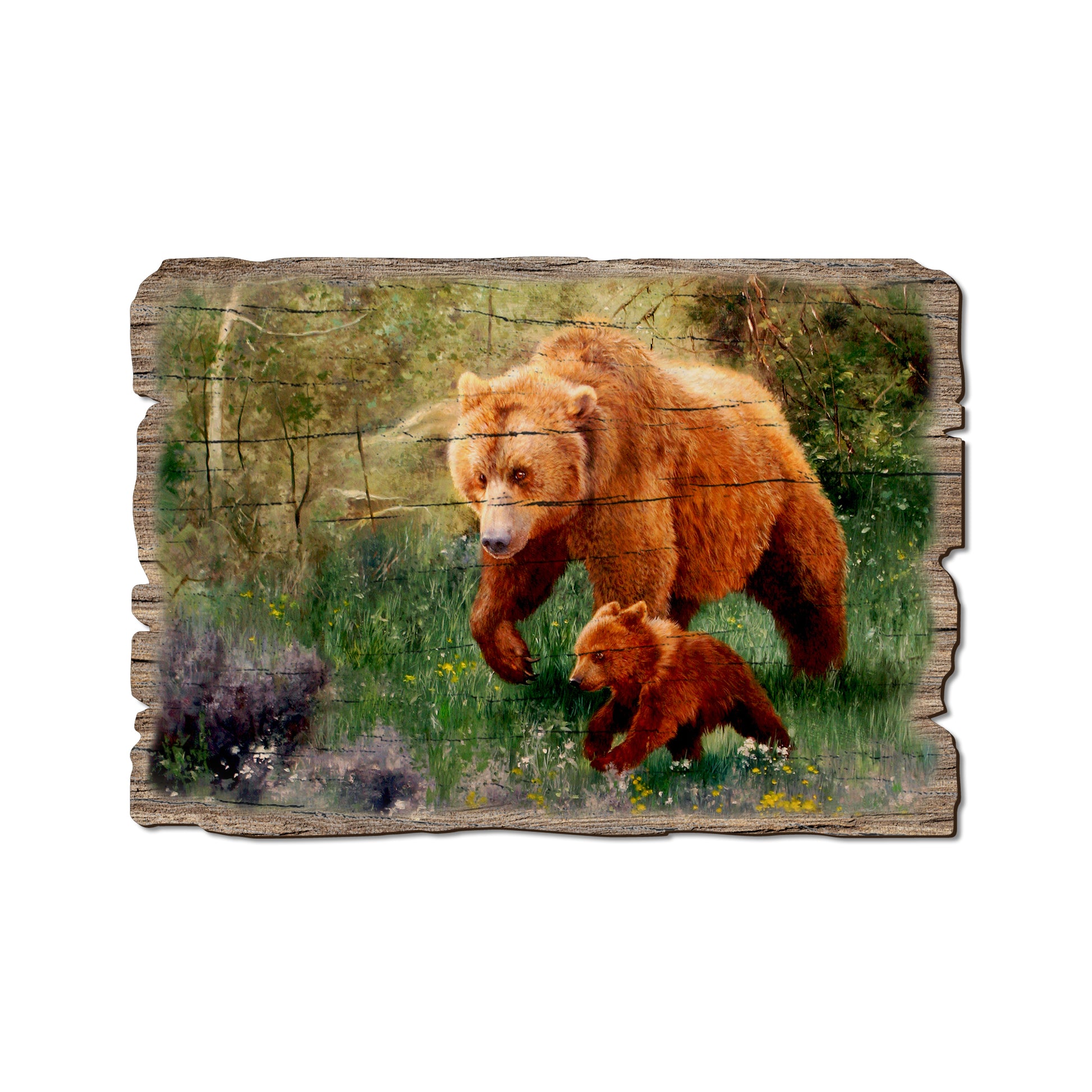 Kelso's The Adventurer - Rustic Edge Postcards & Magnets Rustic Edge Postcard (5pk // $2.80ea)