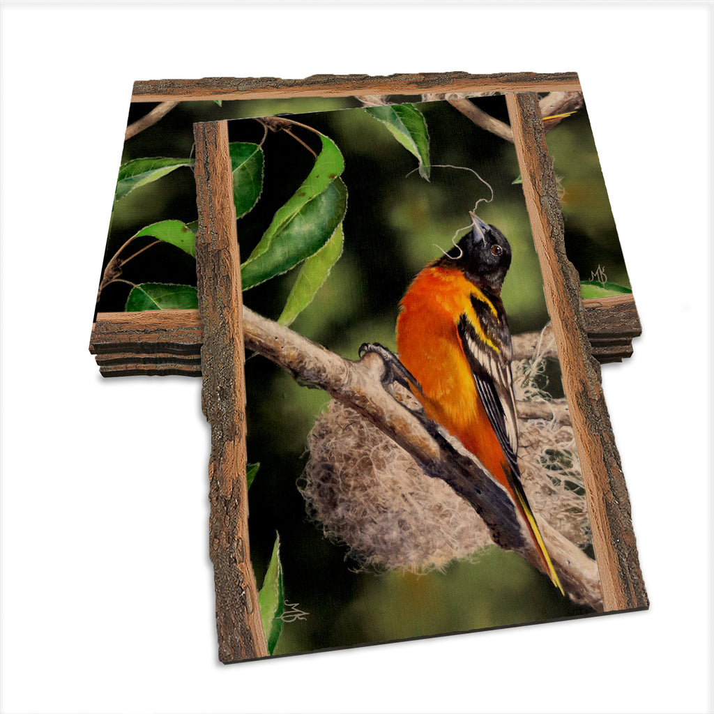 Kelso's The Architect - Live Edge Live Edge Postcard (5pk // $2.80ea)