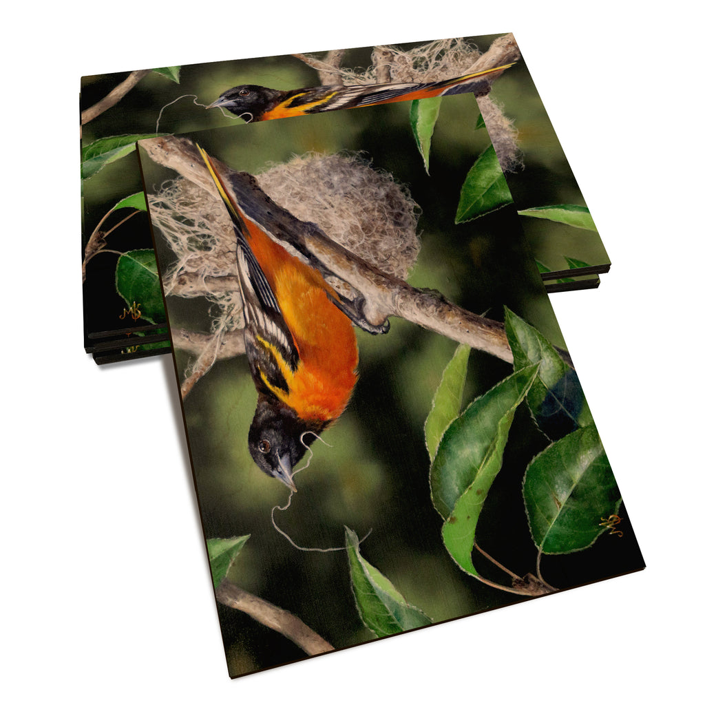 Kelso's The Architect - Classic Edge Classic Edge Postcard (5pk // $2.80ea)