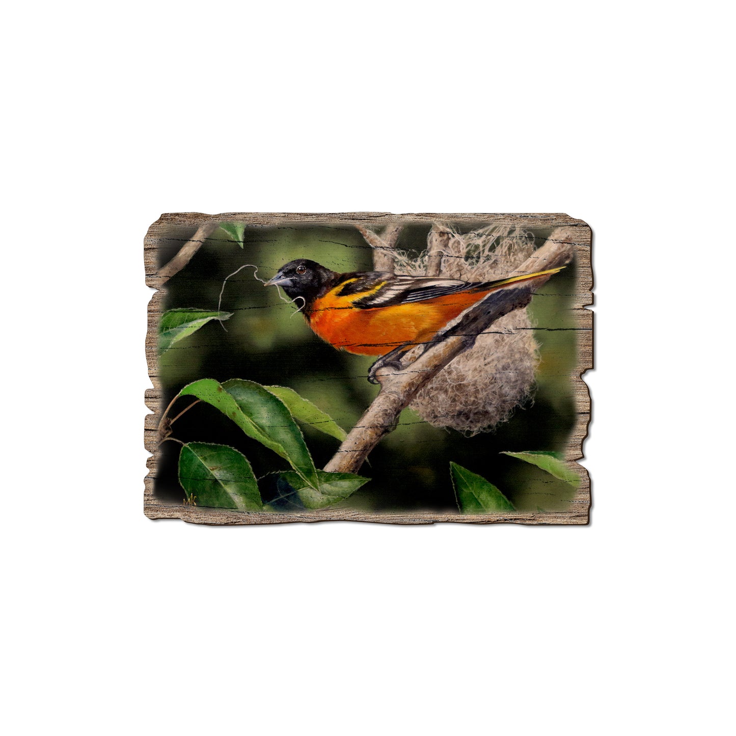 Kelso's The Architect - Rustic Edge Postcards & Magnets Rustic Edge Magnet (5pk // $2.80ea)