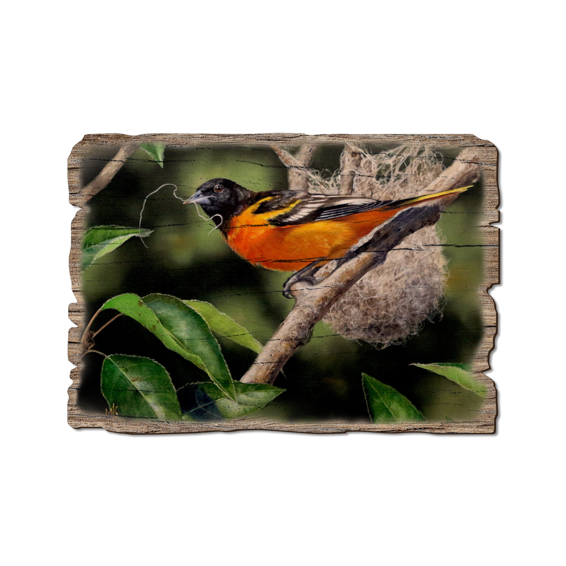 Kelso's The Architect - Rustic Edge Postcards & Magnets Rustic Edge Postcard (5pk // $2.80ea)